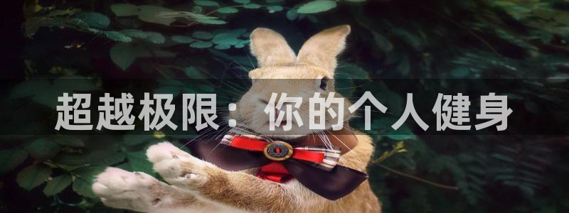 3377体育官网下载:超越极限:你的个人健身