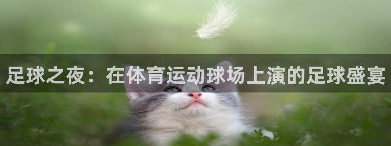 3377体育官网下载平台注册流程图:足球之夜:在体育运动球场